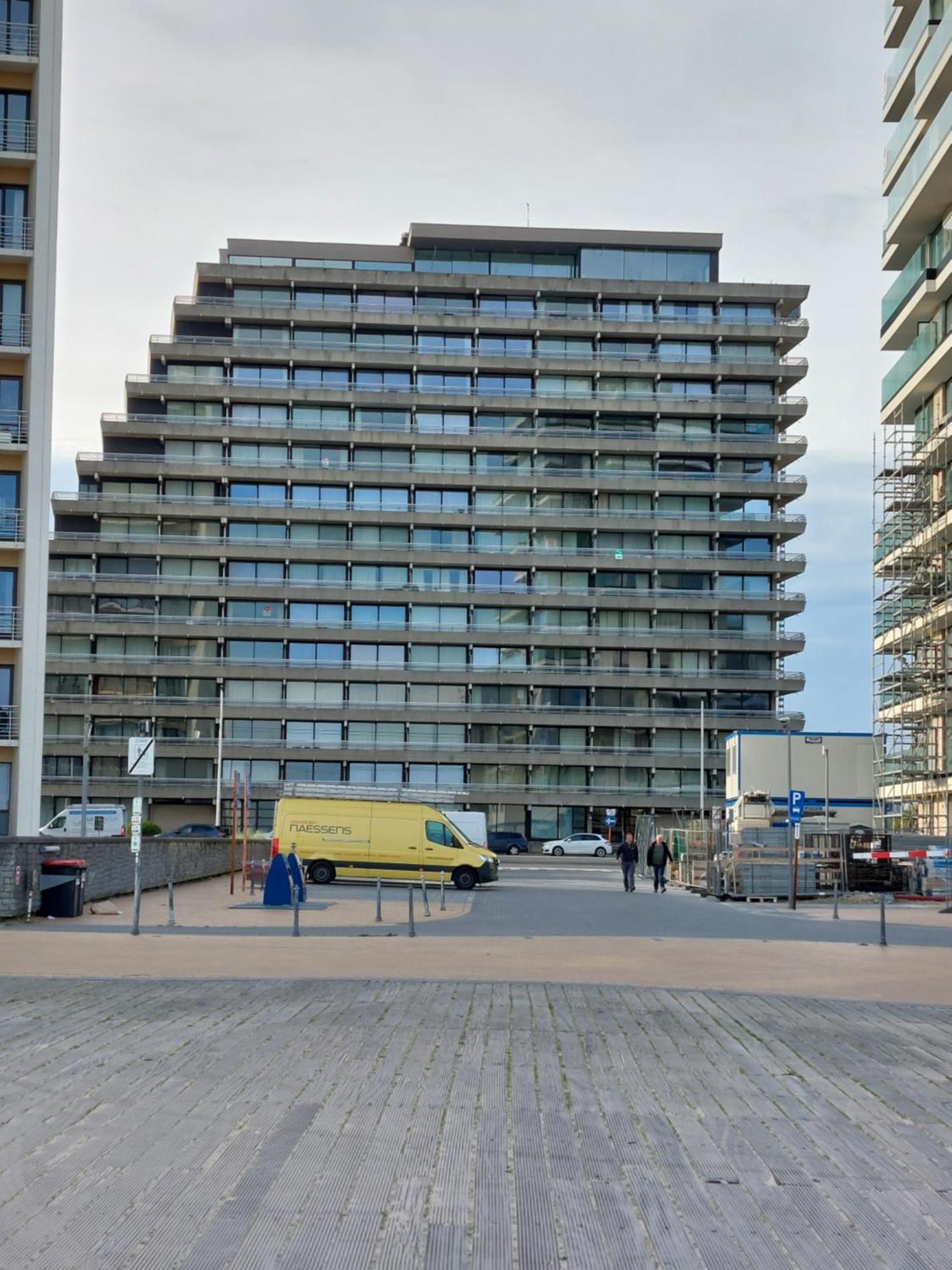 Bonelly * Ostende