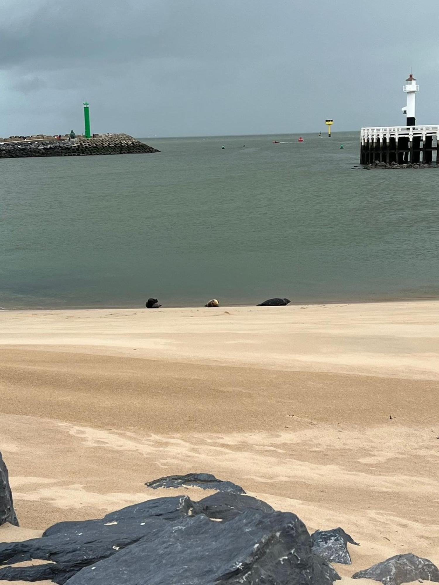 Apartmán Bonelly Ostende